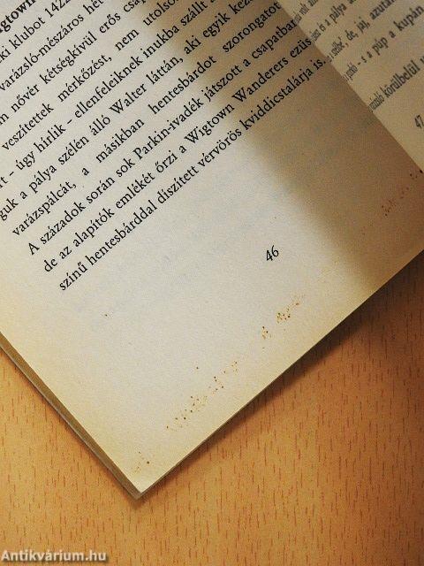 Tudor Hushpush: A kviddics évszázadai