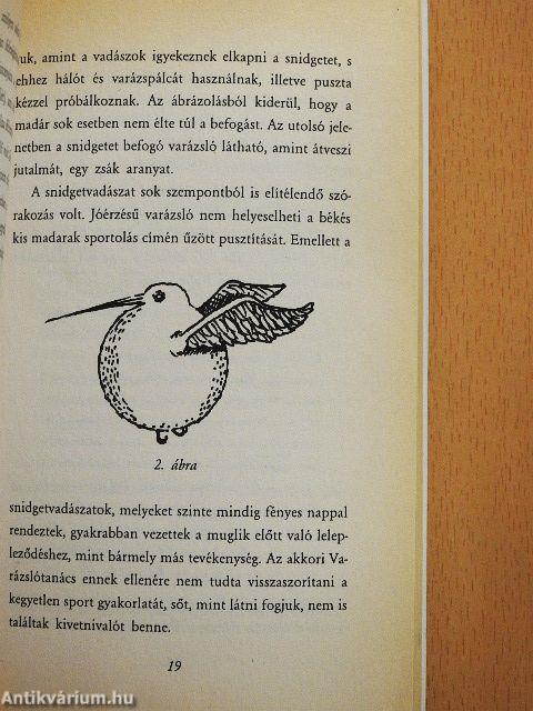 Tudor Hushpush: A kviddics évszázadai