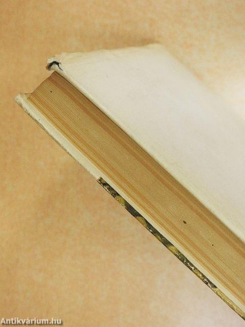 Egy orvos az autóbuszon