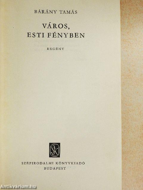 Város, esti fényben