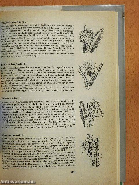 Das praktische Kakteenbuch in Farben