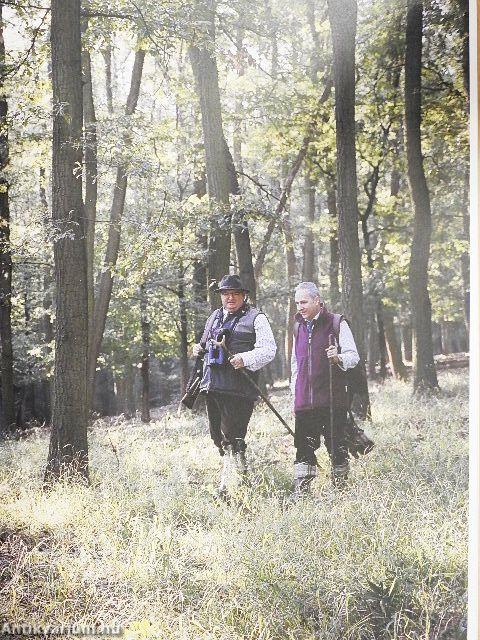 Sercegés és erdőzúgás