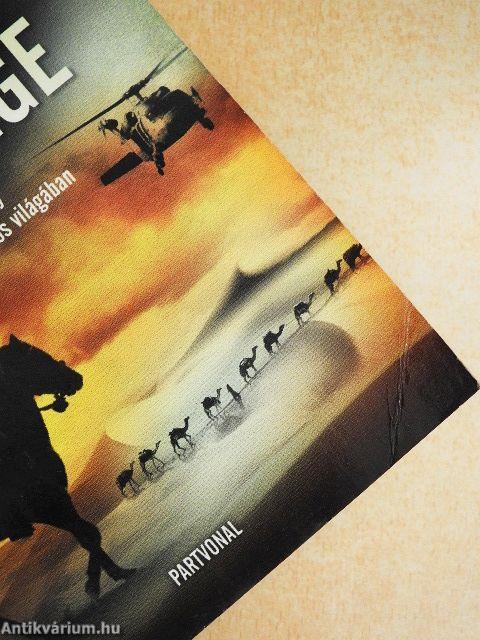 Kambüszész elveszett hadserege