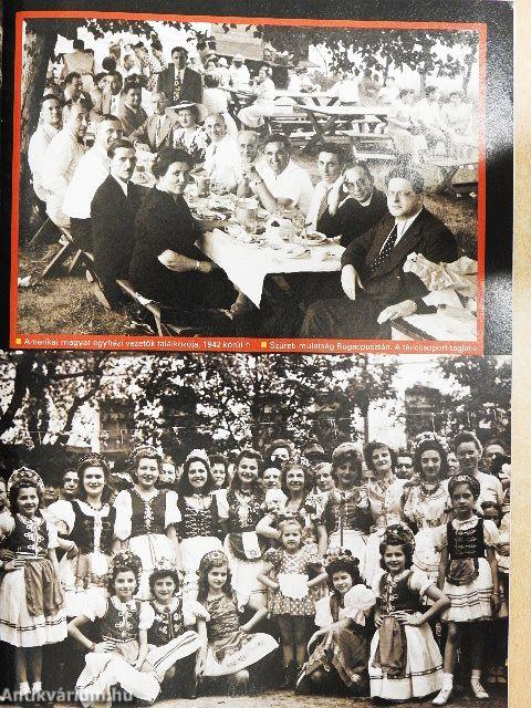 Rubicon 2008. január-december/1. különszám