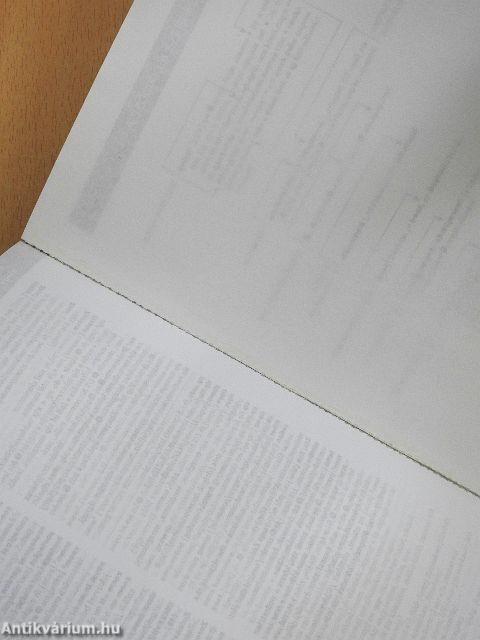 Angol-magyar szótár