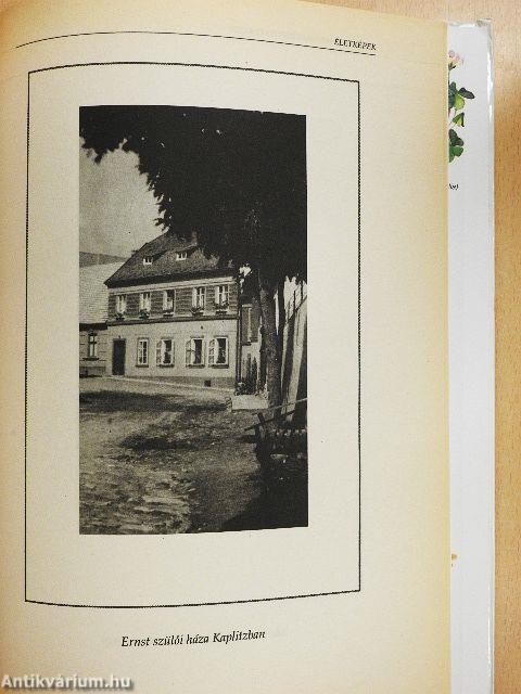 Maria Treben új receptjei és élete