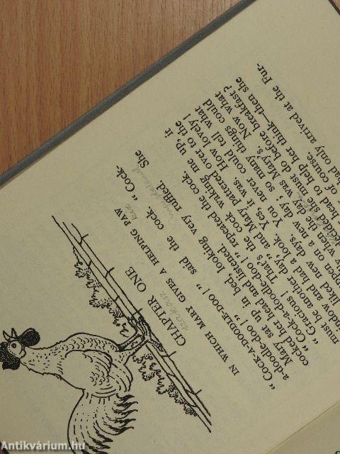 Mary Plain's Big Adventure