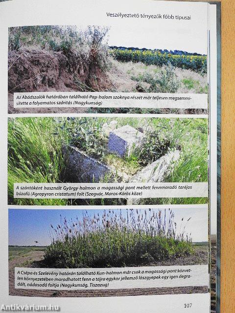 Természet és történelem