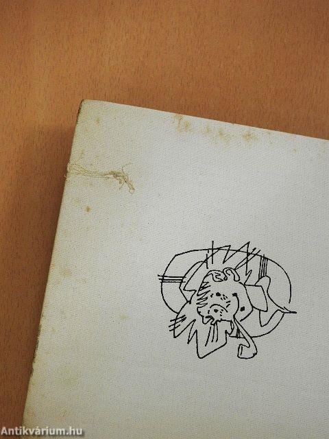 Huckleberry Finn kalandjai