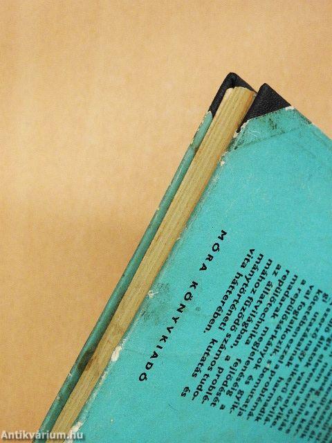 Repülősárkányok és gyíkmadarak