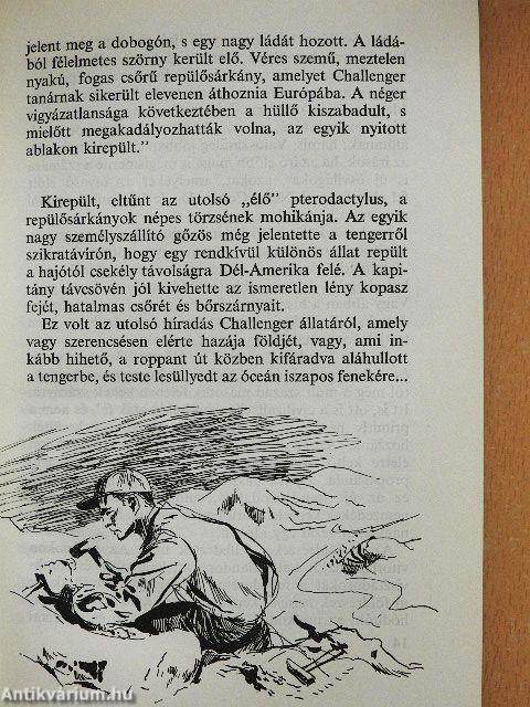 Repülősárkányok és gyíkmadarak