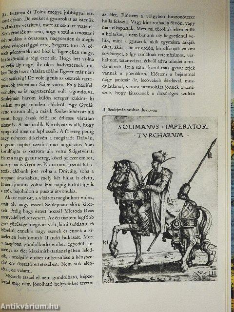 A török Magyarországon