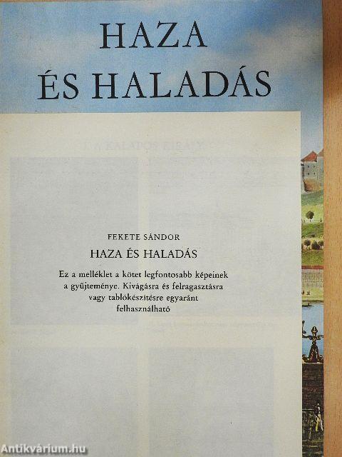 Haza és haladás