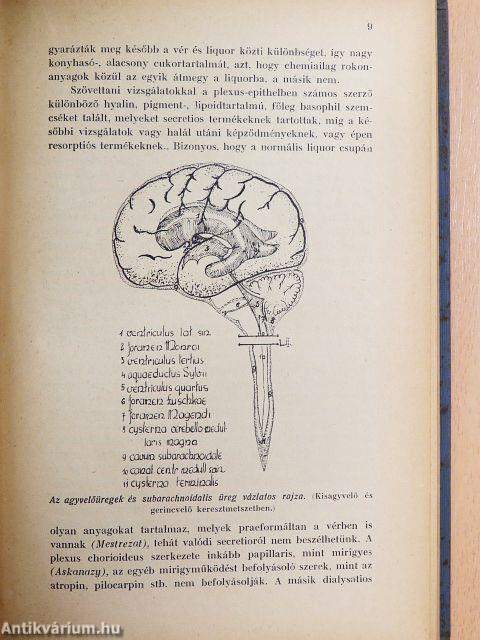 Lumbalpunctio és liquordiagnostika