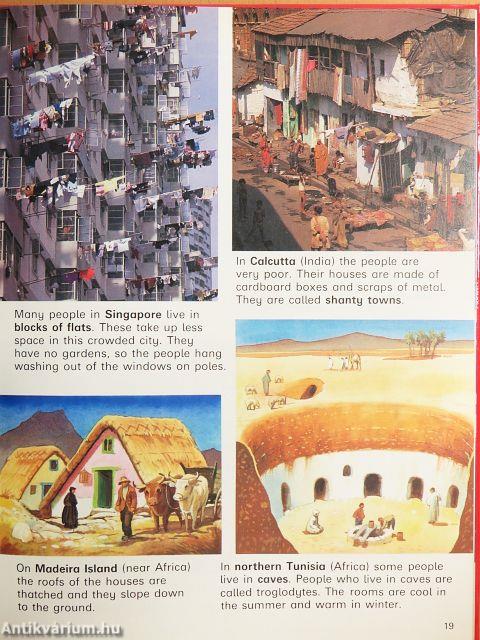 People and the man-made world