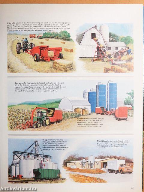 America From the Road