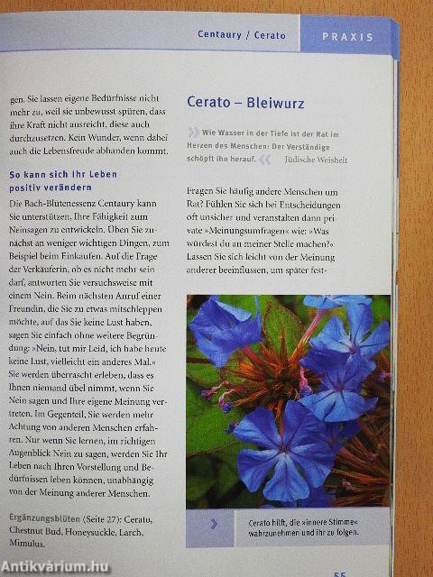 Bach-Blüten für innere Harmonie