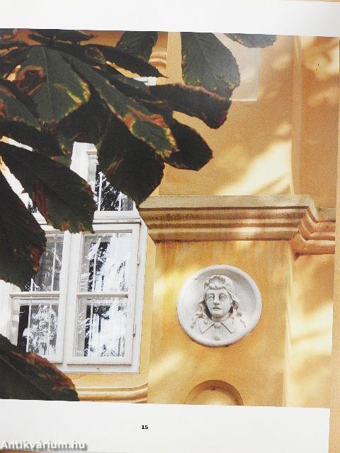 Rónai - A Róma-villa titka