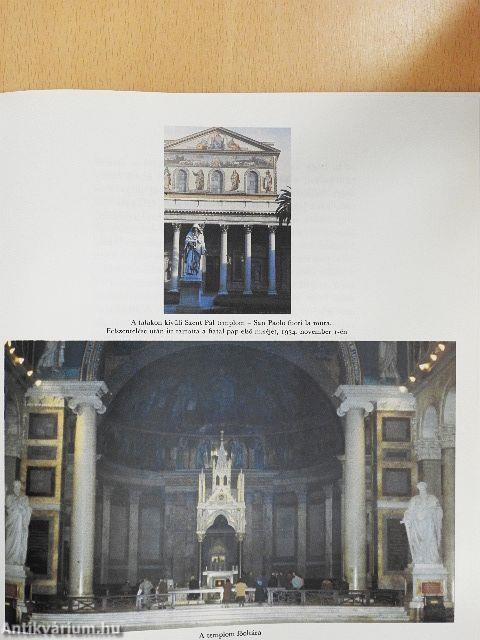 "A megnyesett fa kizöldül"