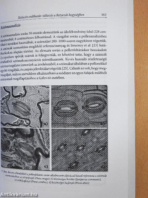 ECCE Eötvös Collegium - Collegiumi Értesítő I.