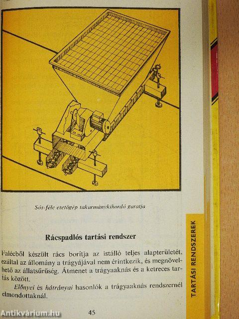 Tojástól a broilercsirkéig