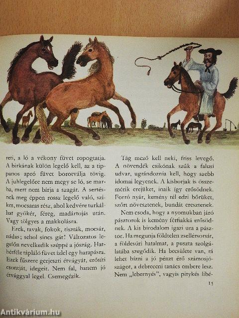 Amiről a puszta mesél