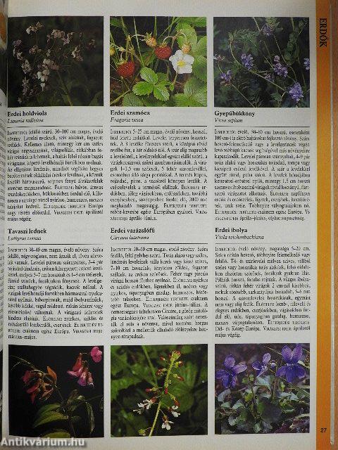 Nagy európai természetkalauz