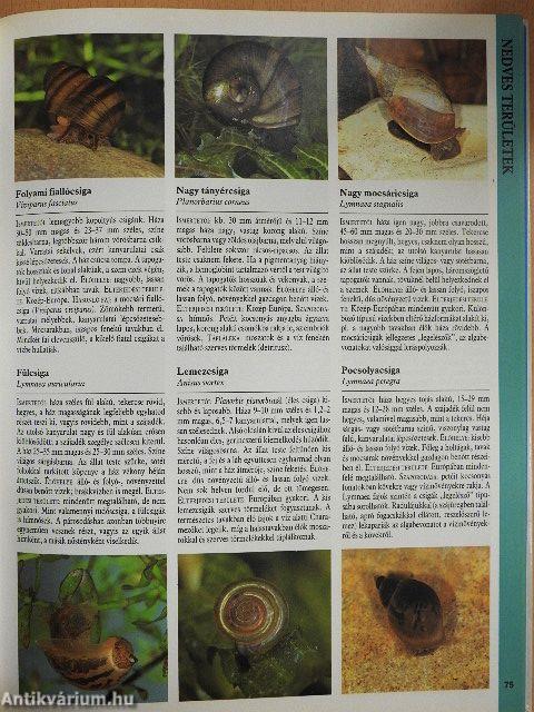 Nagy európai természetkalauz