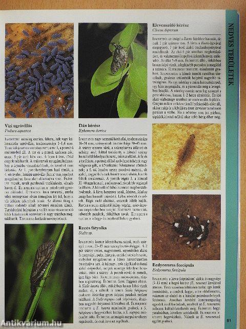 Nagy európai természetkalauz