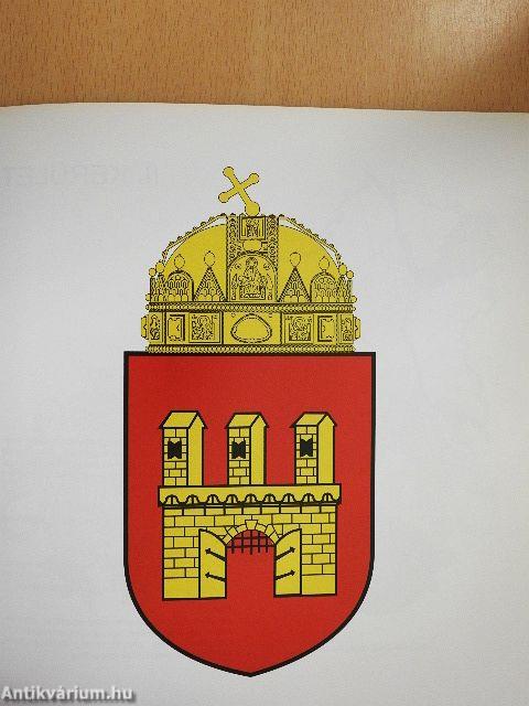 Budapesti önkormányzatok jelképei 2001