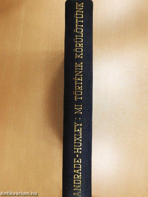 Mi történik körülöttünk