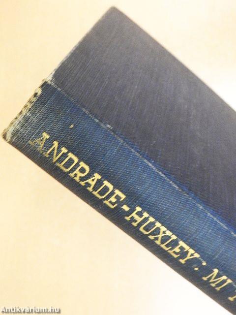 Mi történik körülöttünk