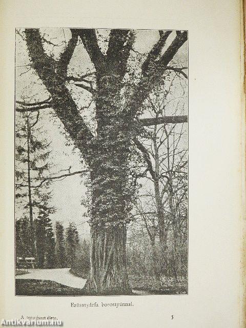 A természet élete