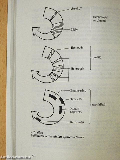 A menedzser közgazdasági szemlélete