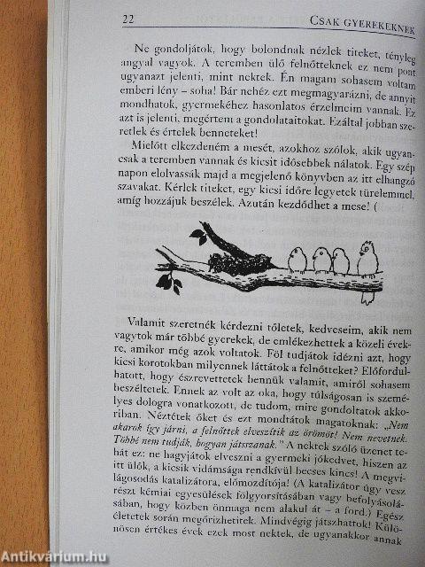 Az új kezdet