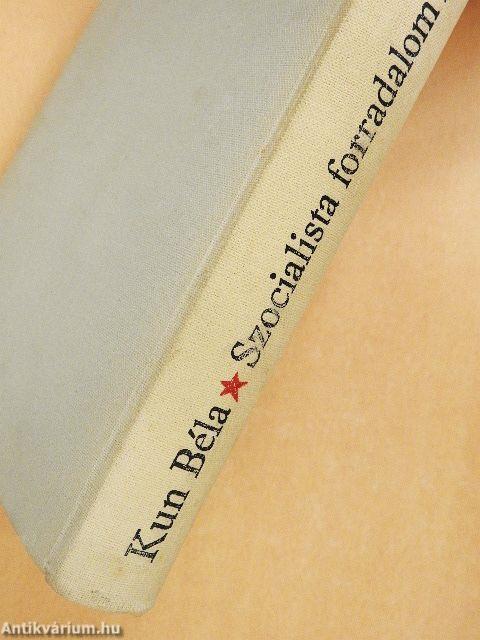 Szocialista forradalom Magyarországon