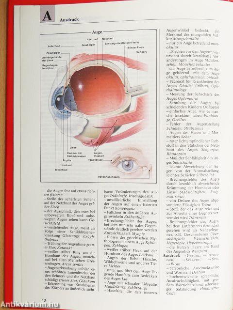 Der schnelle Weg zum richtigen Wort