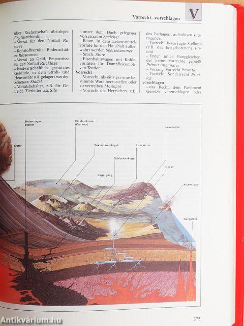 Der schnelle Weg zum richtigen Wort