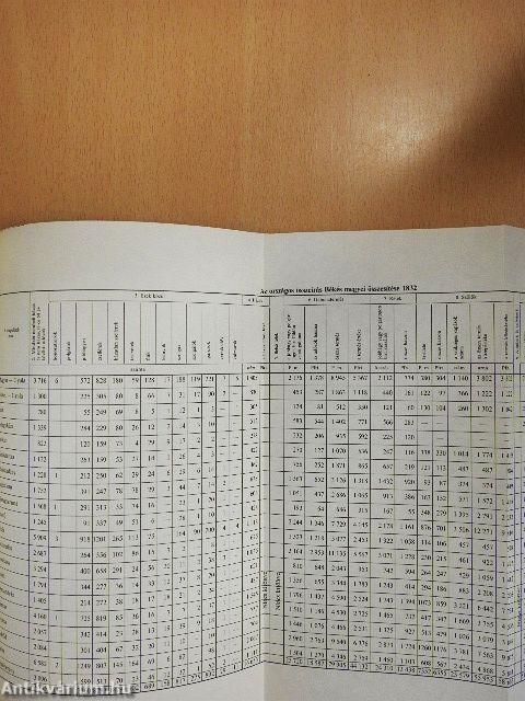 Békés megye társadalma és gazdasága 1828-ban