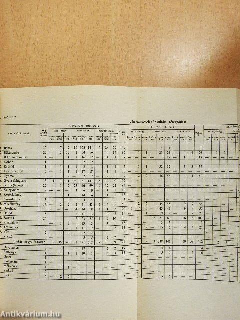 Békés megye társadalma és gazdasága 1828-ban