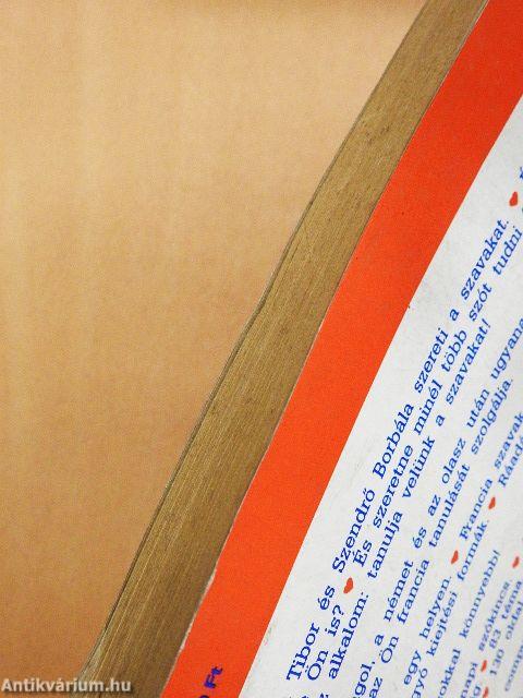 Képes francia-magyar szótár