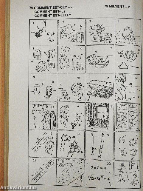 Képes francia-magyar szótár