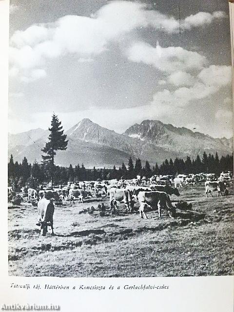 Magas-Tátra