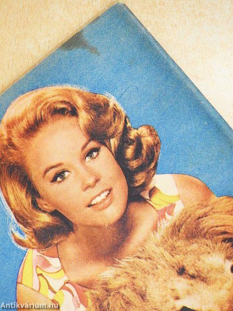 Füles 1971. január 21.