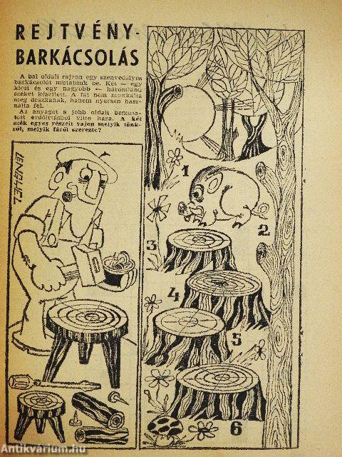 Füles 1968. november 7.