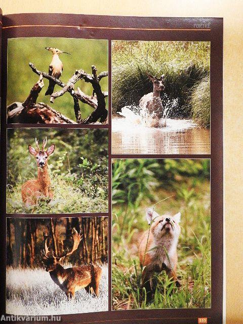 Magyar Vadászlap 2012. augusztus