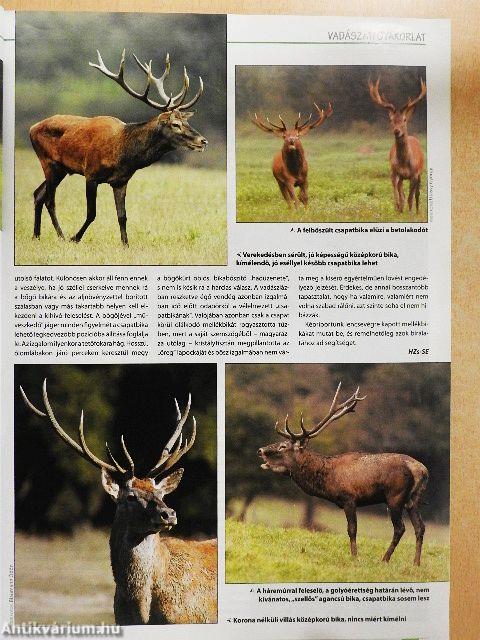 Magyar Vadászlap 2011. szeptember
