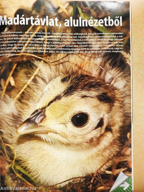 Magyar Vadászlap 2011. szeptember