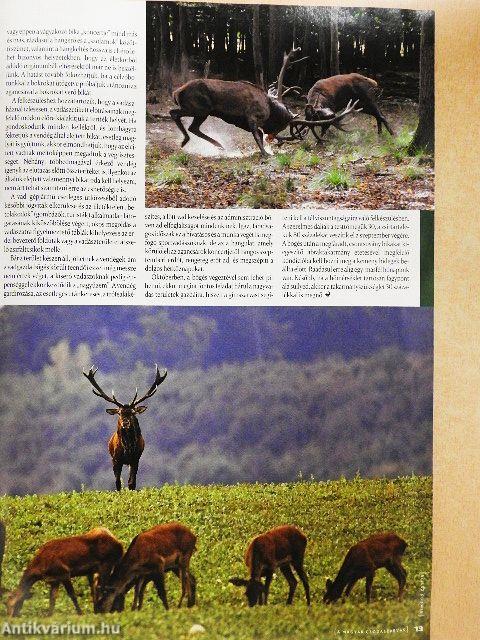 Nimród 2011. szeptember