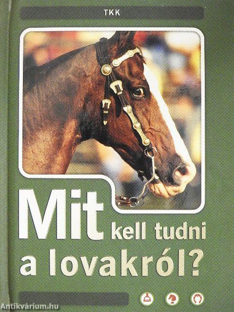Mit kell tudni a lovakról?